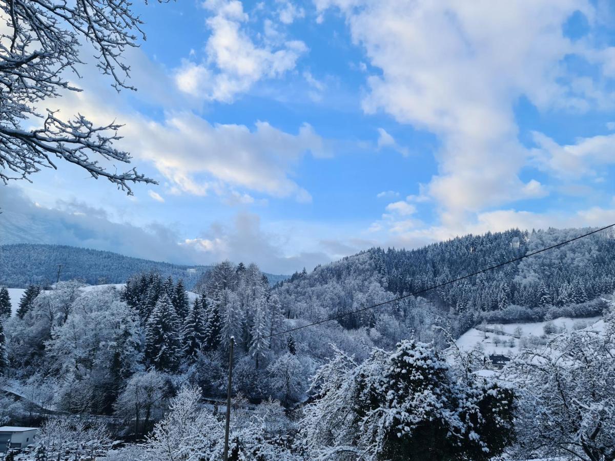 Ferienwohnung Hilde Bad Peterstal-Griesbach Luaran gambar