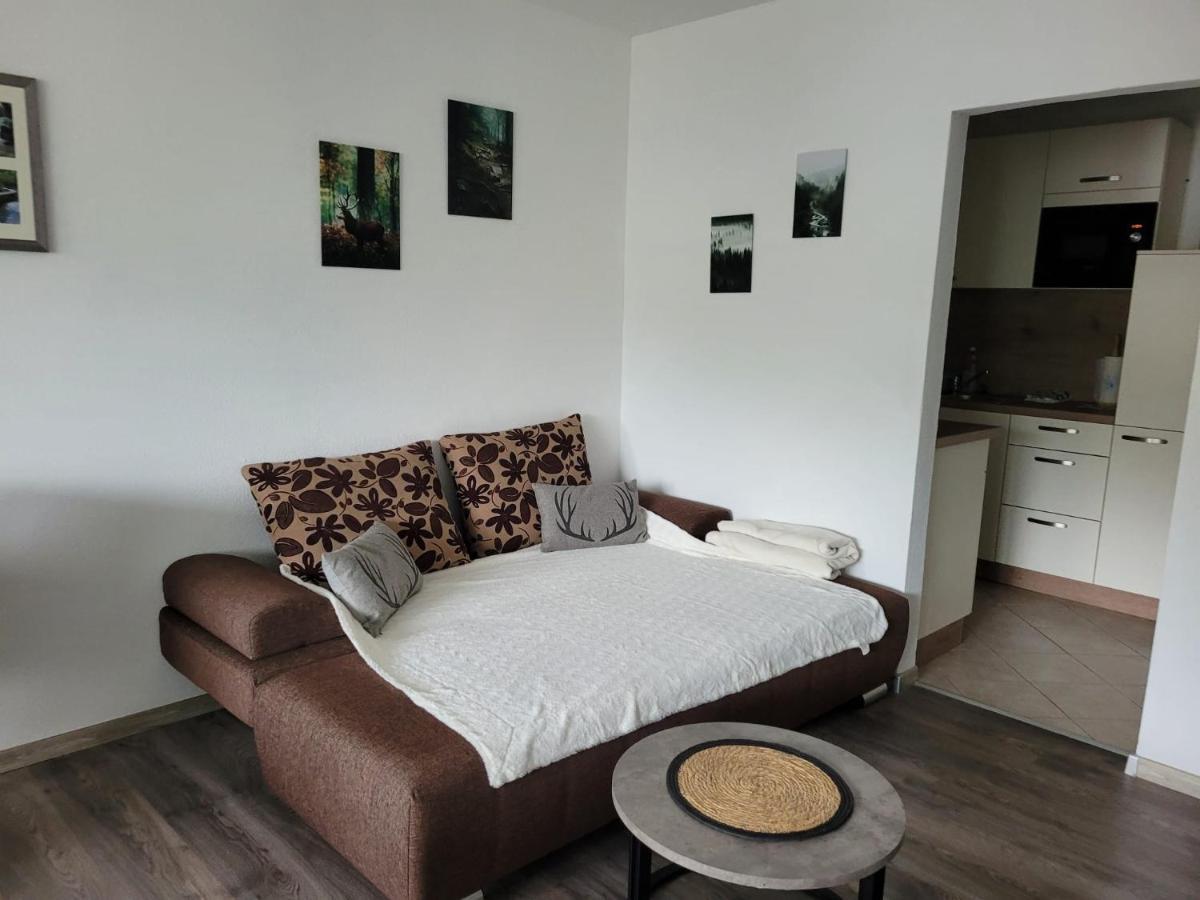 Ferienwohnung Hilde Bad Peterstal-Griesbach Luaran gambar